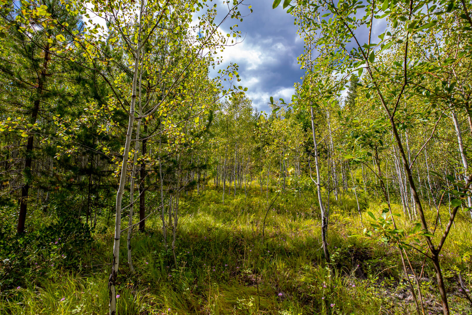 Nhn Sheep Lane Kalispell, MT 59901