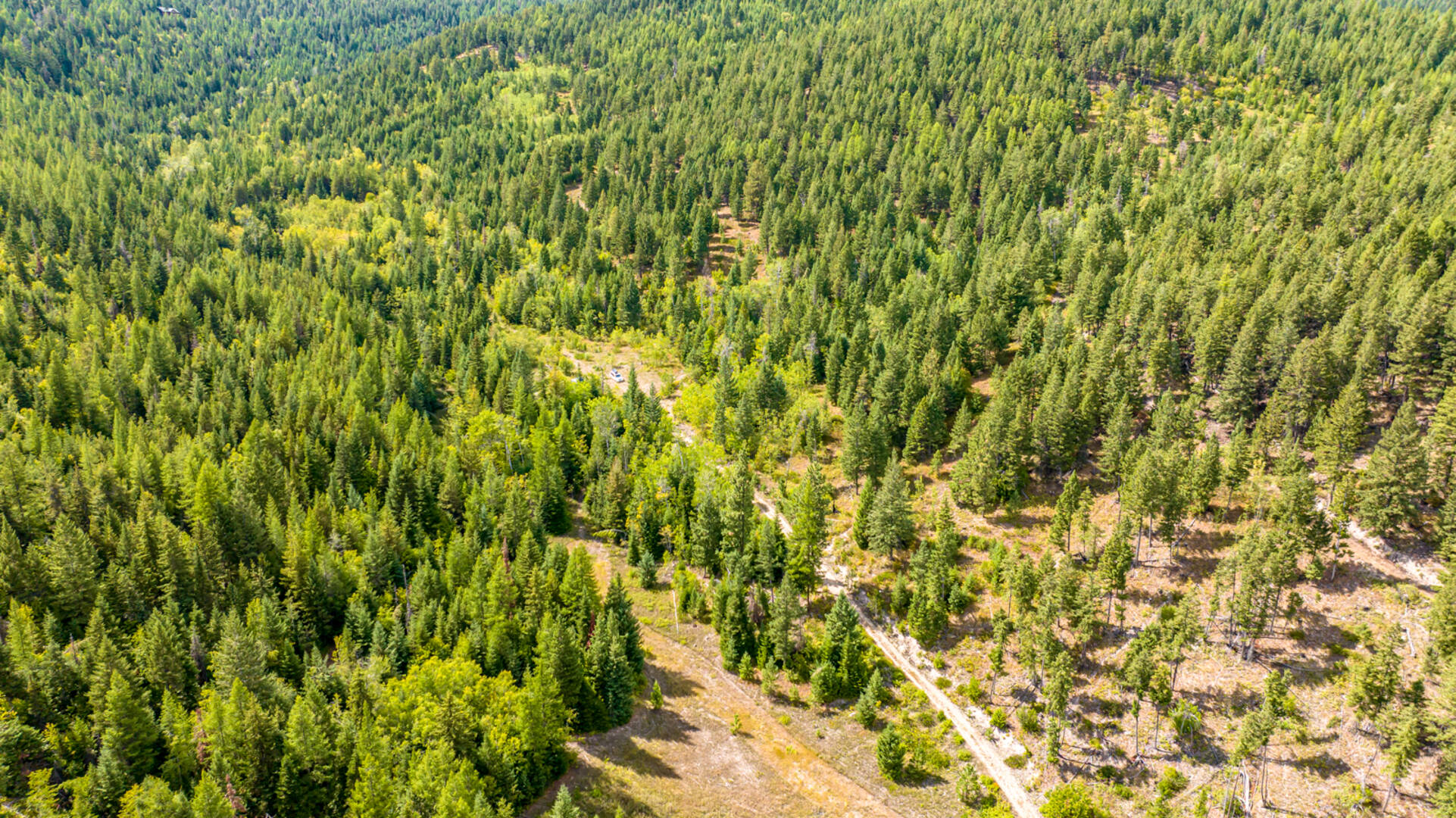 Nhn Sheep Lane Kalispell, MT 59901
