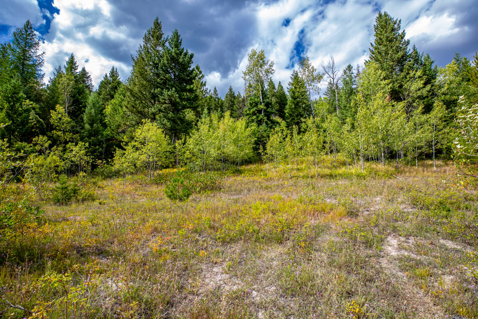 Nhn Sheep Lane Kalispell, MT 59901