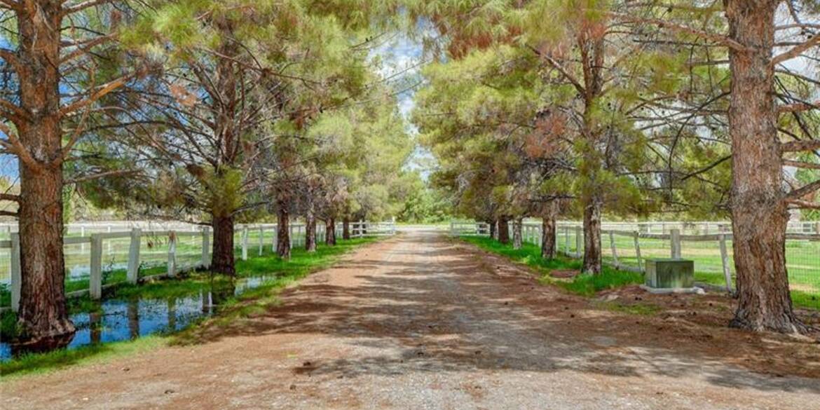 Brivity 1475 Gubler Avenue Logandale, NV 89021