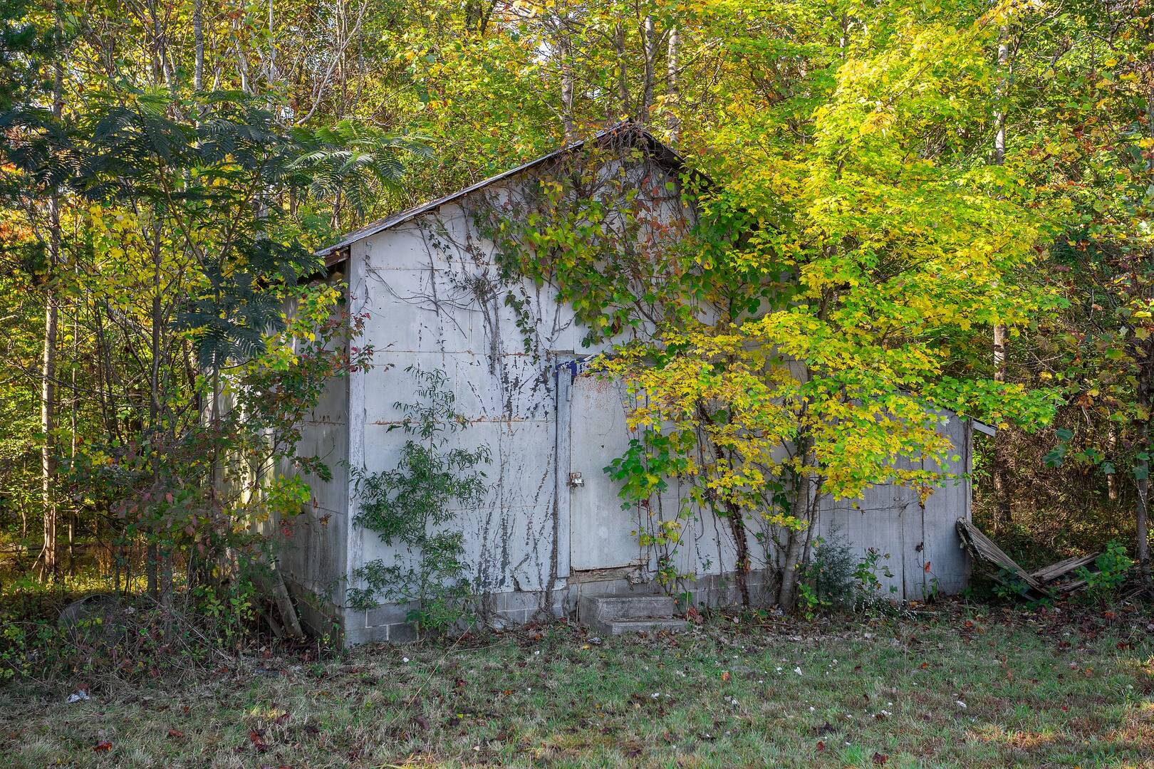 260 Chaney Loop Stoneville, NC 27048