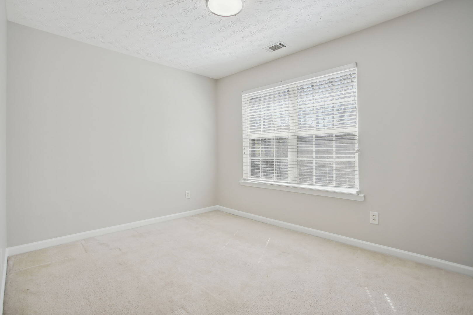 3882 Alexandra Oak Court Suwanee, GA 30024