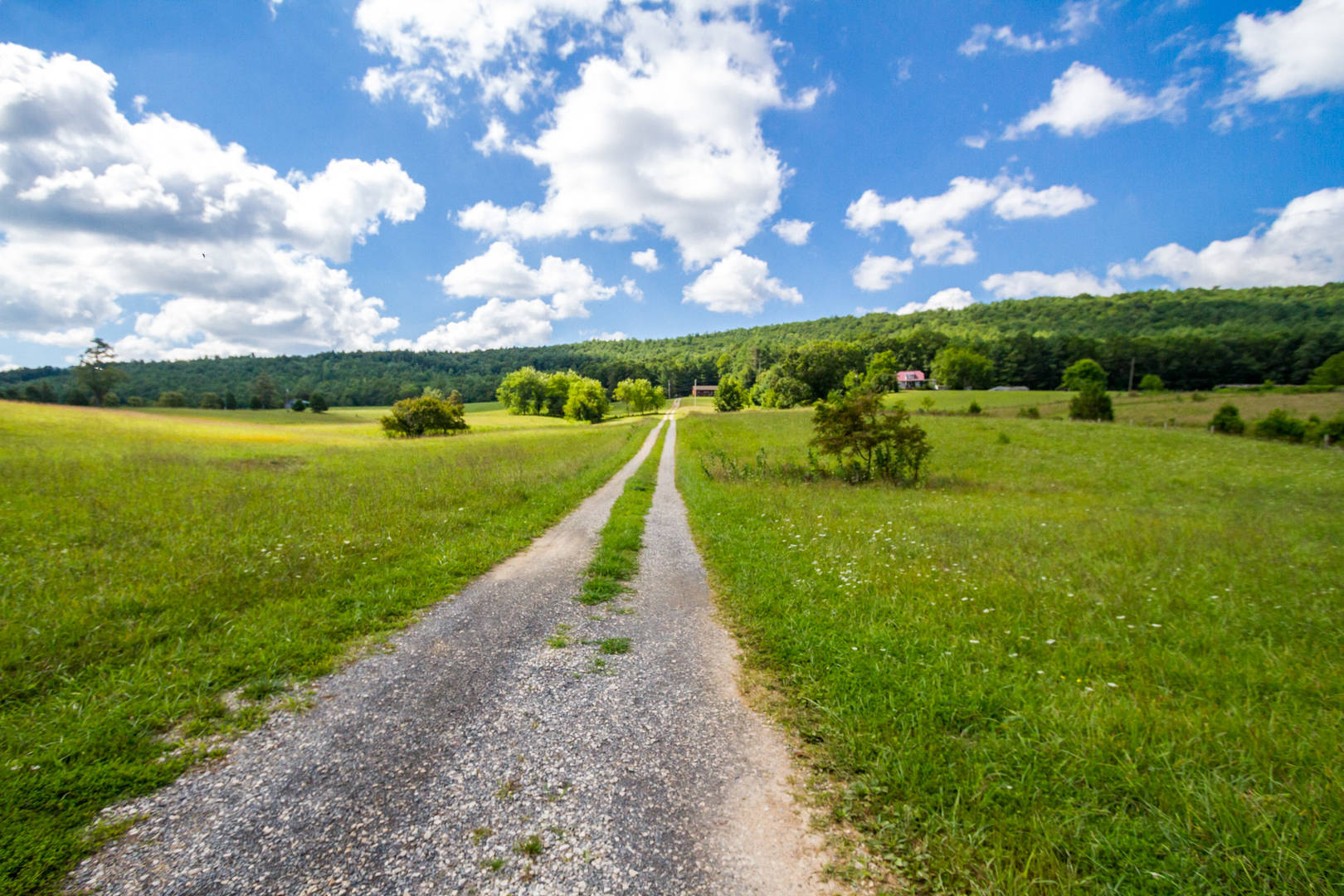 Brivity 1267 Powder Mill Road Ivanhoe, VA 24350 Virtual Tour