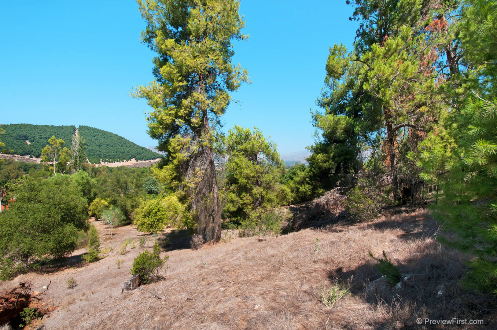 Brivity 15419 Pauma Valley Dr. Pauma Valley, CA 92061 Virtual Tour