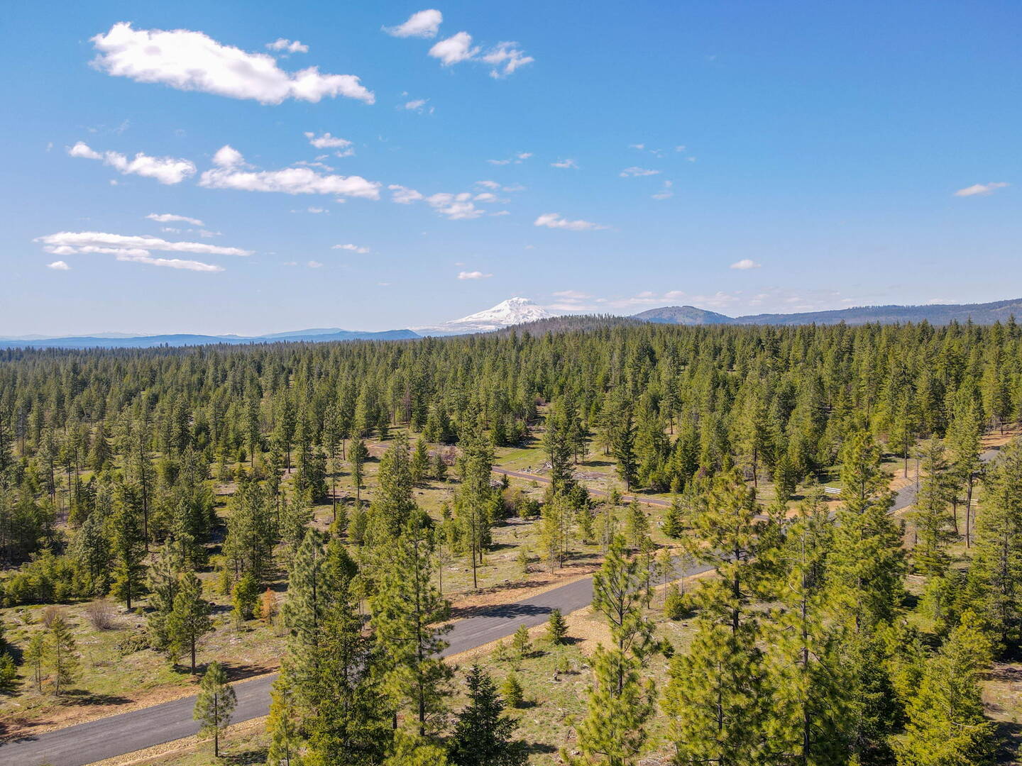 Lot 5 Ranger's Meadows Goldendale, WA 98620