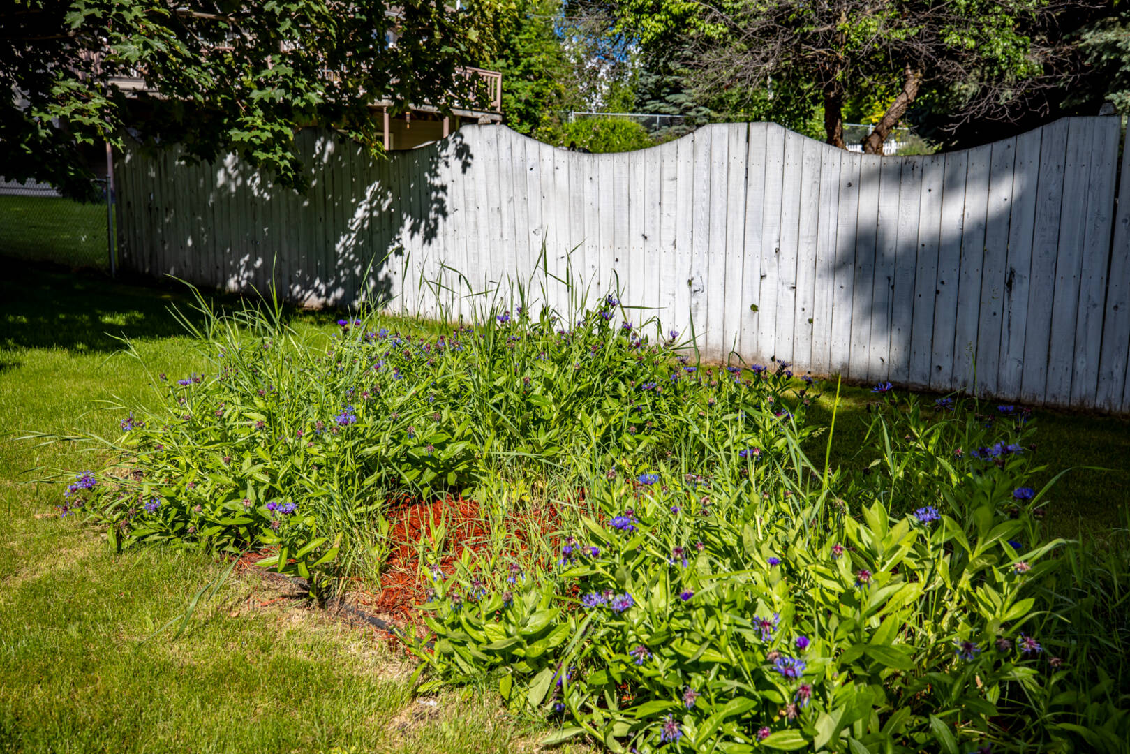 293 Dairy Dr Kalispell, MT 59901