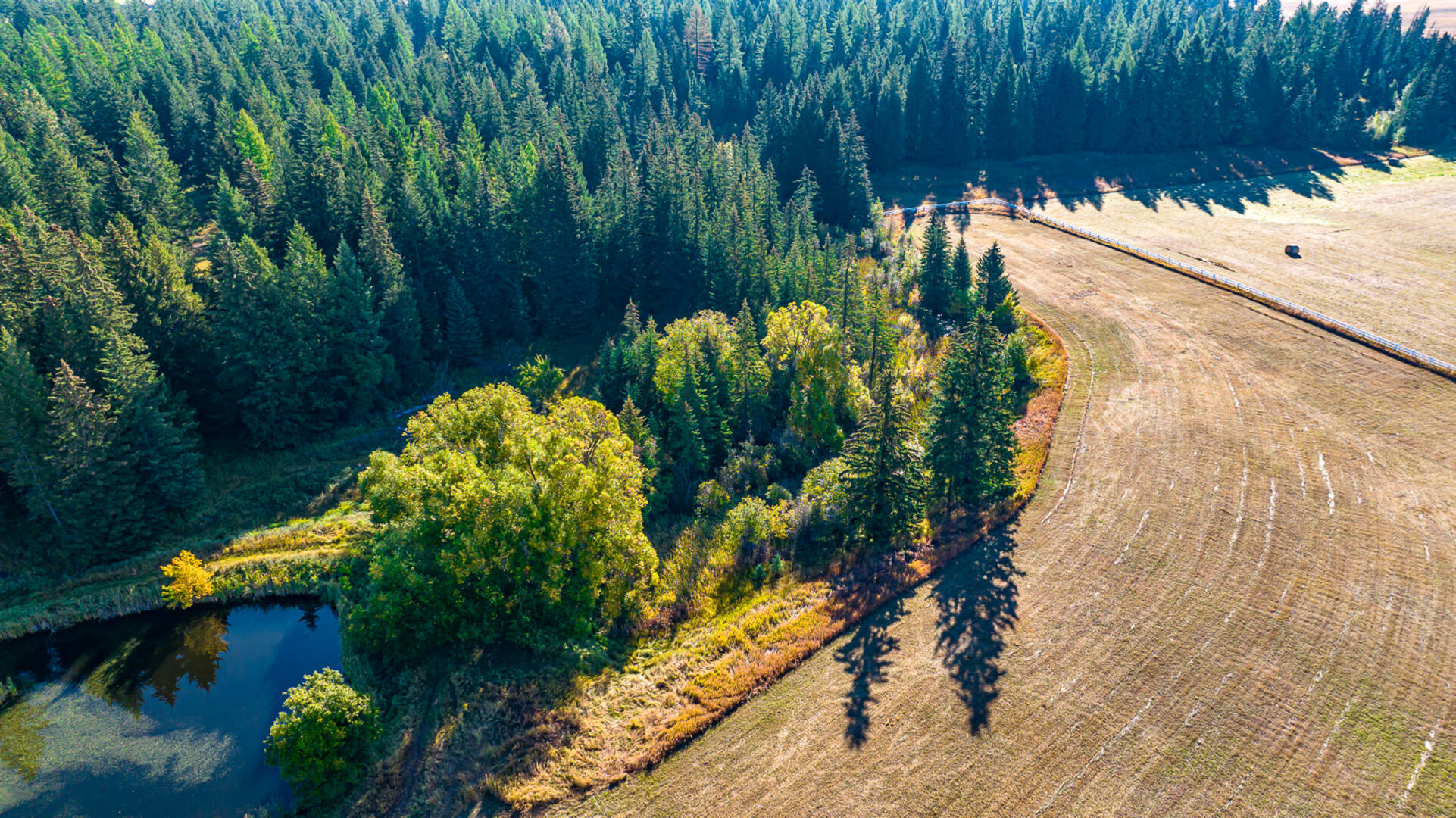1335 Mooring Rd Columbia Falls, MT 59912