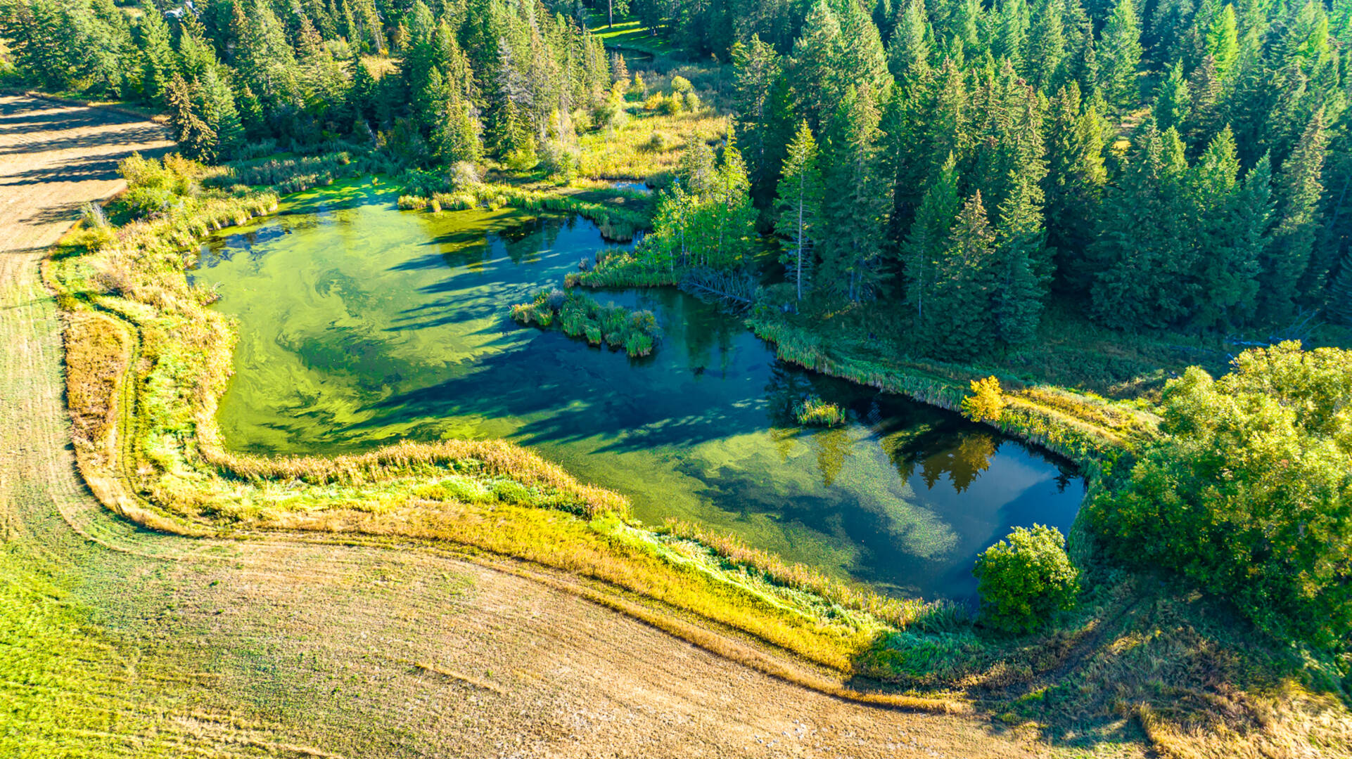 1335 Mooring Rd Columbia Falls, MT 59912