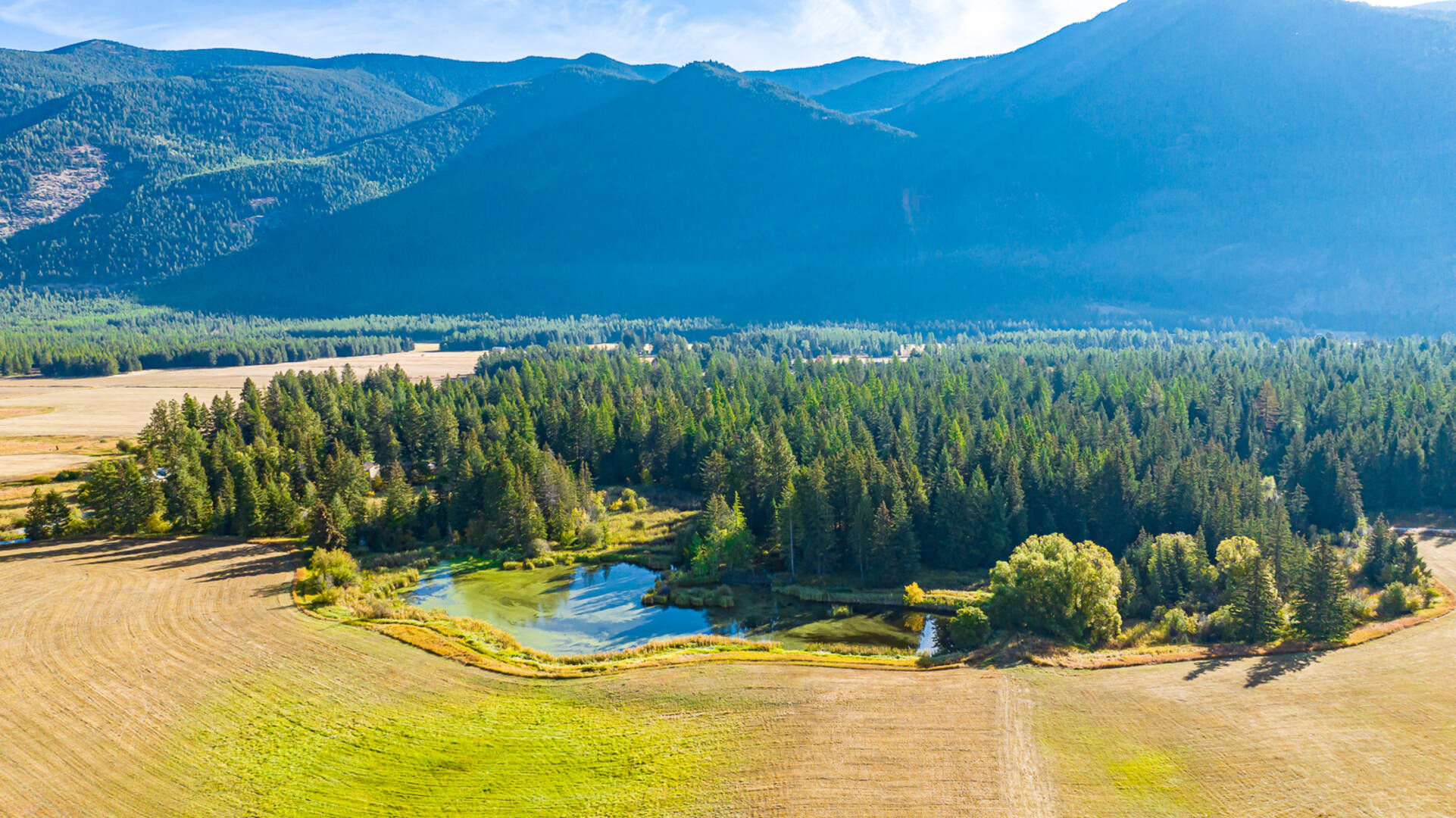 1335 Mooring Rd Columbia Falls, MT 59912