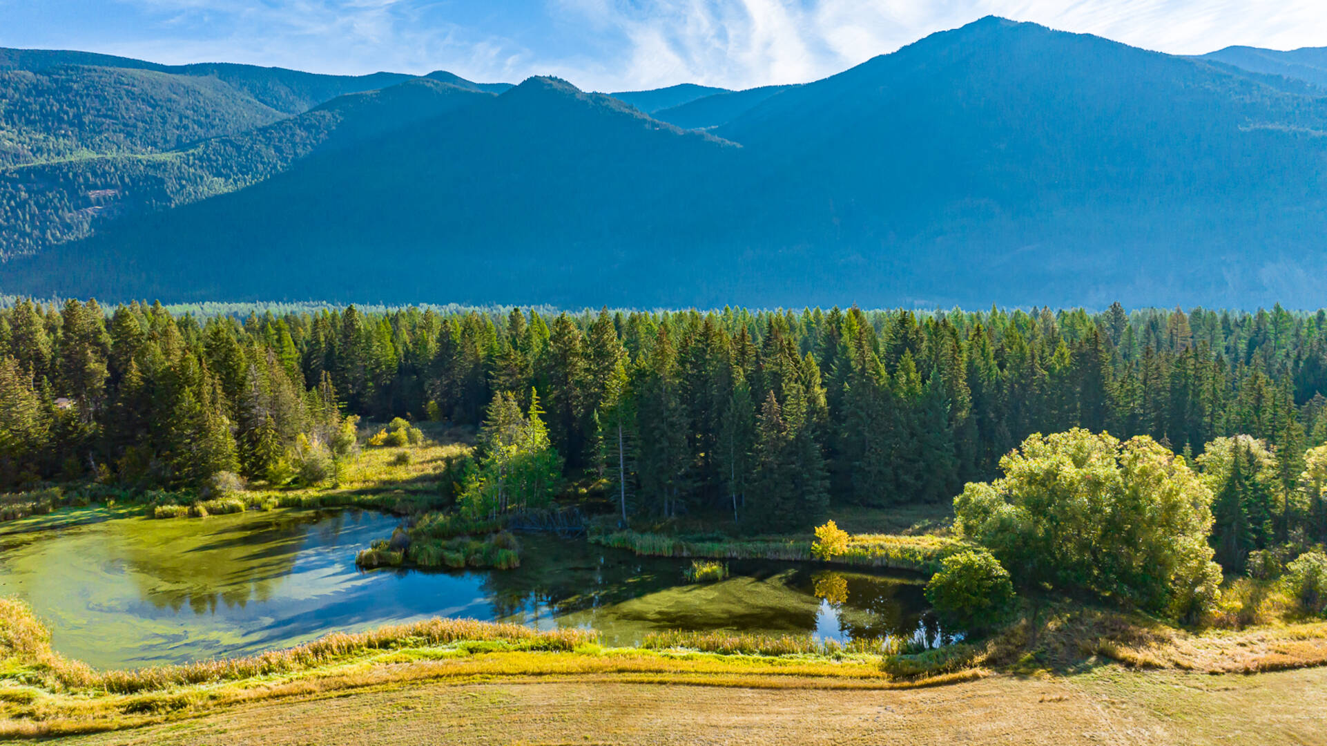 1335 Mooring Rd Columbia Falls, MT 59912