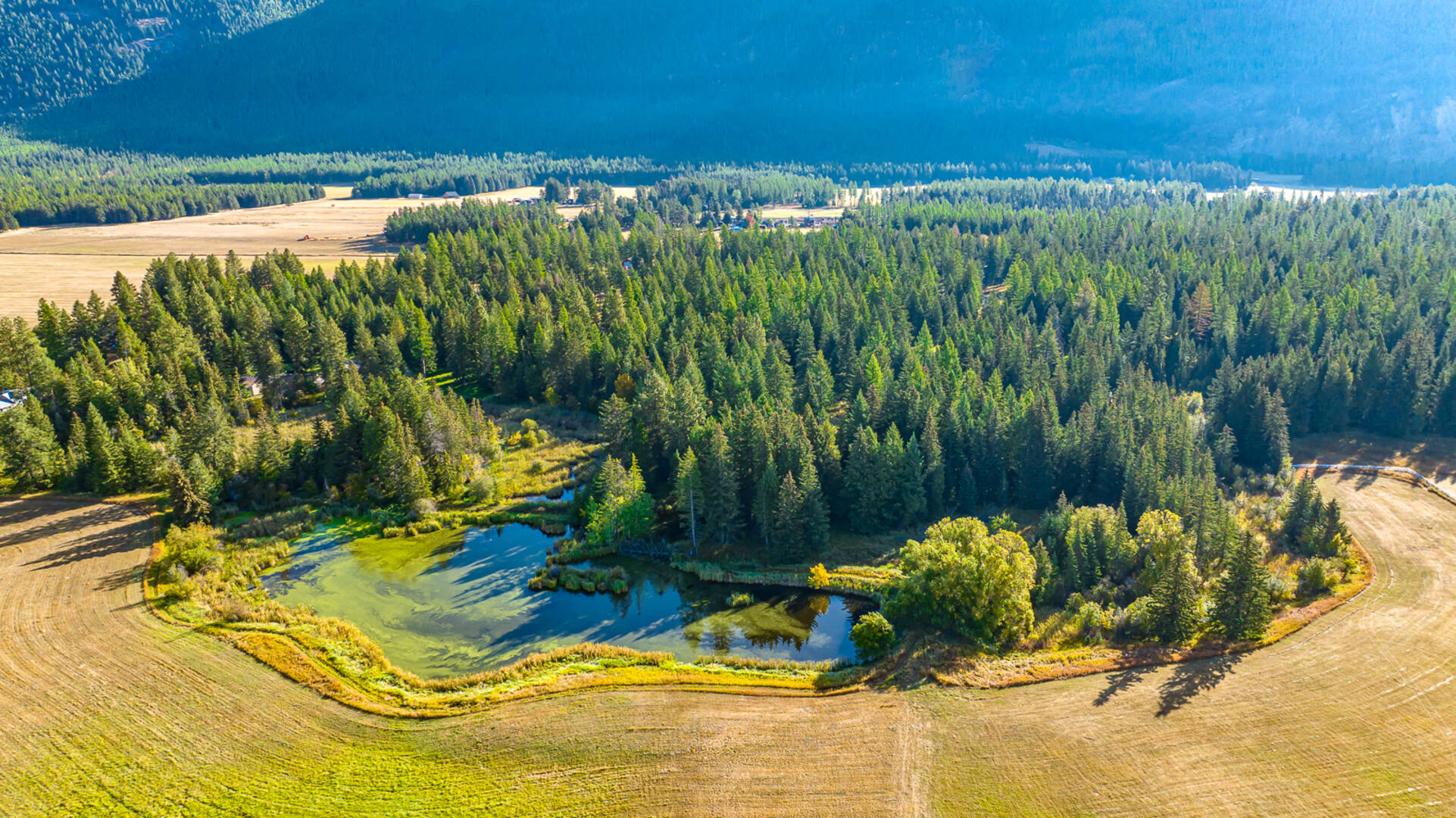 1335 Mooring Rd Columbia Falls, MT 59912