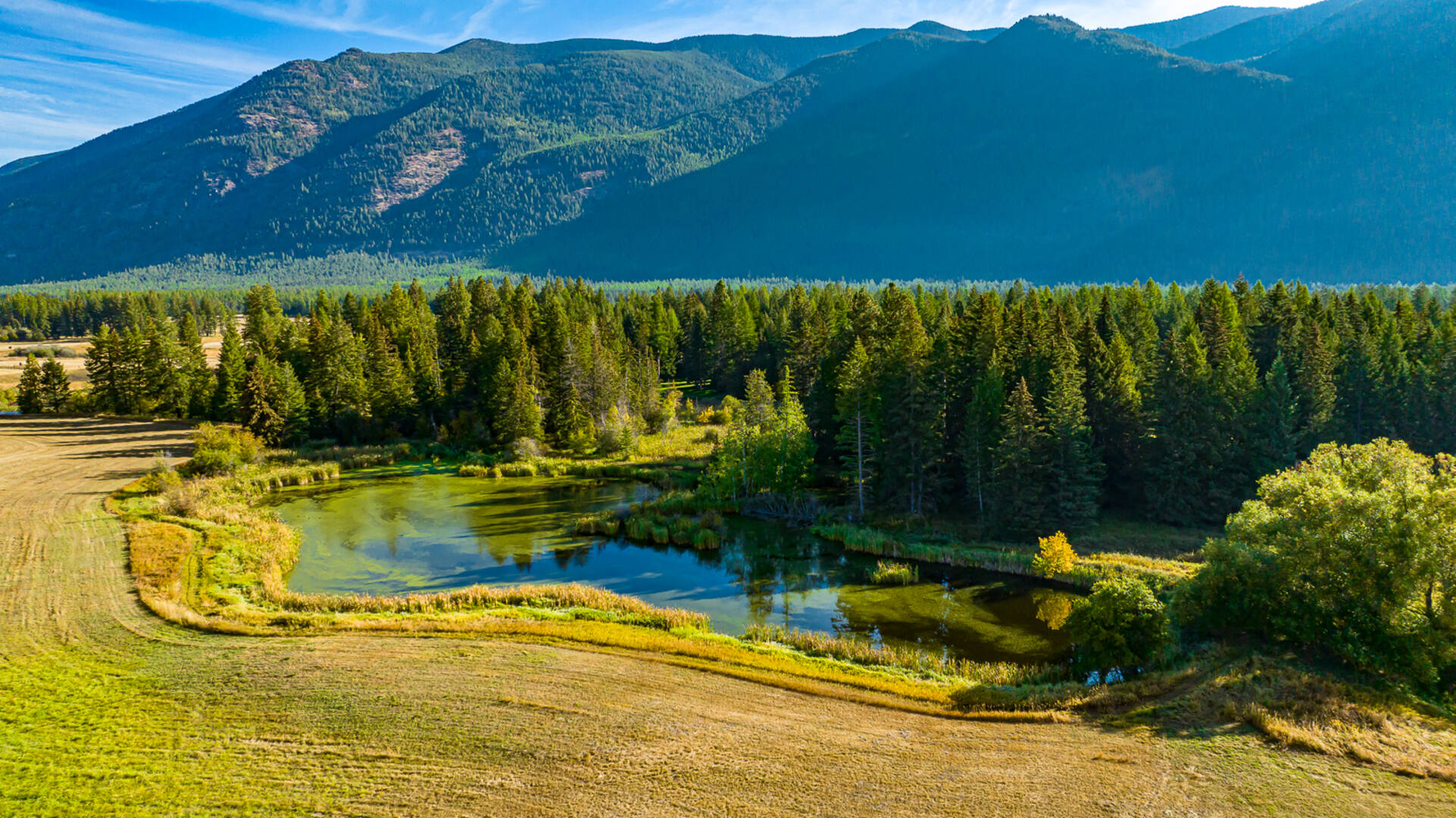 1335 Mooring Rd Columbia Falls, MT 59912