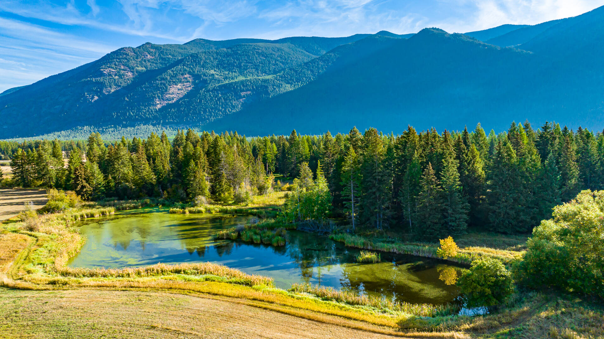 1335 Mooring Rd Columbia Falls, MT 59912