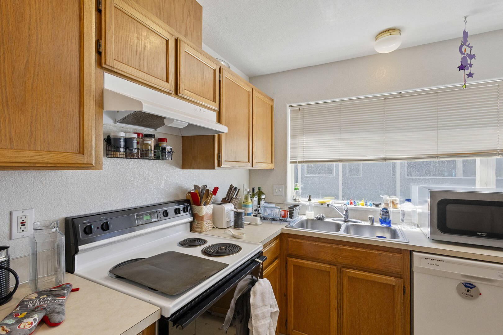 809 & 811 Blueberry Ln Bellingham, WA 98229