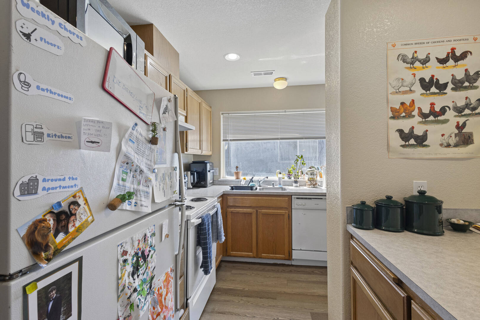 809 & 811 Blueberry Ln Bellingham, WA 98229