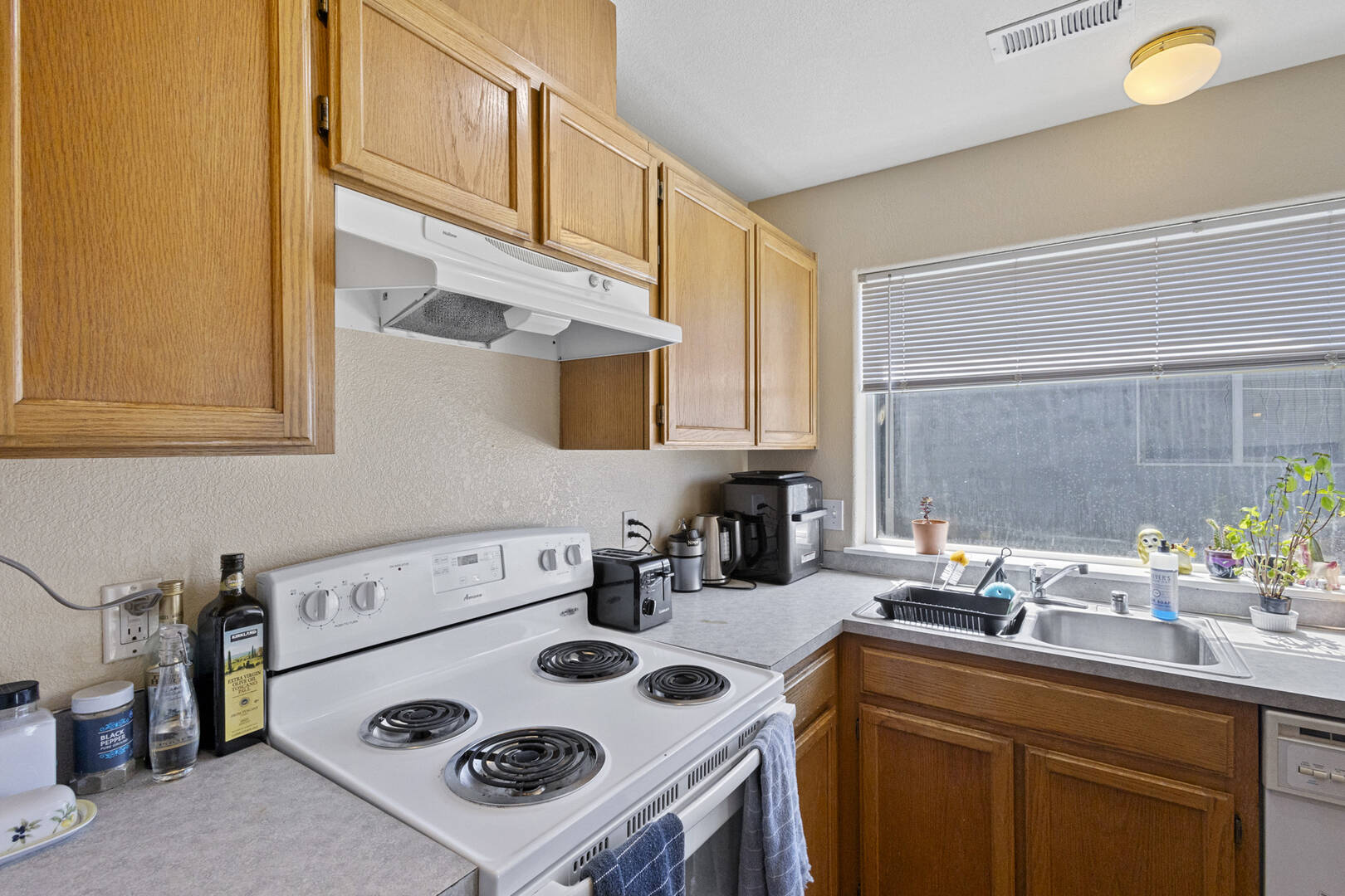 809 & 811 Blueberry Ln Bellingham, WA 98229