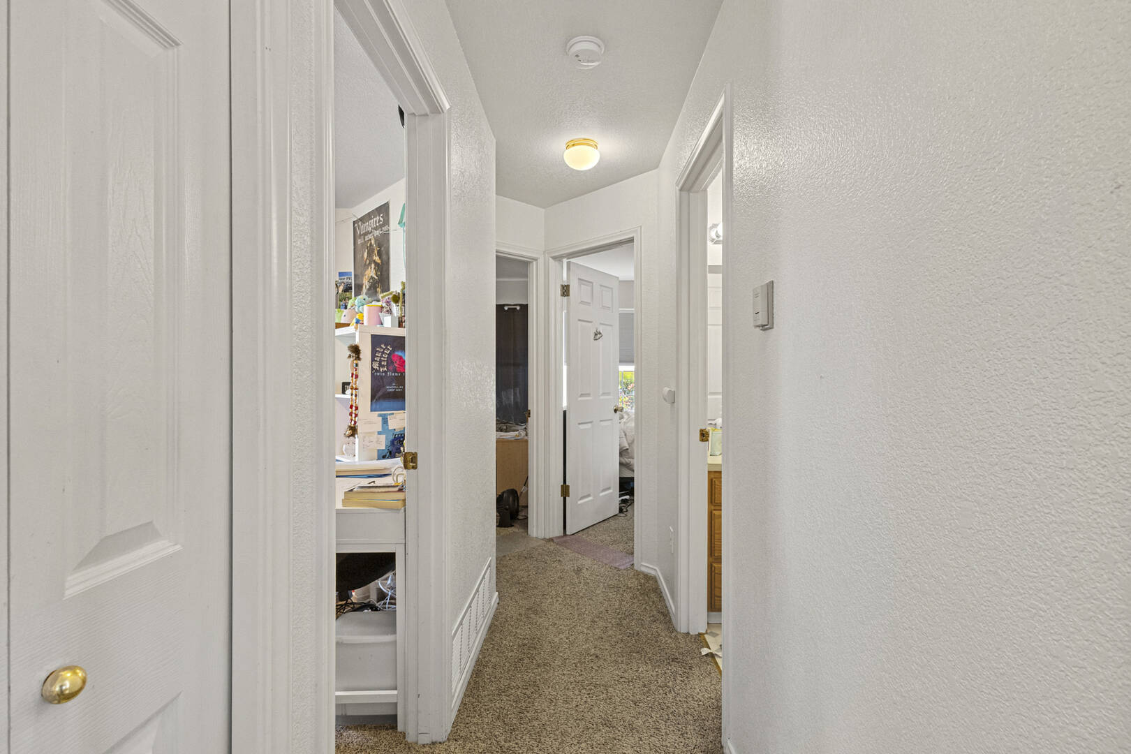 809 & 811 Blueberry Ln Bellingham, WA 98229