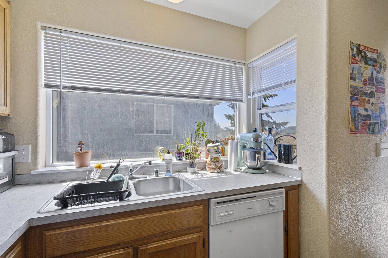 809 & 811 Blueberry Ln Bellingham, WA 98229