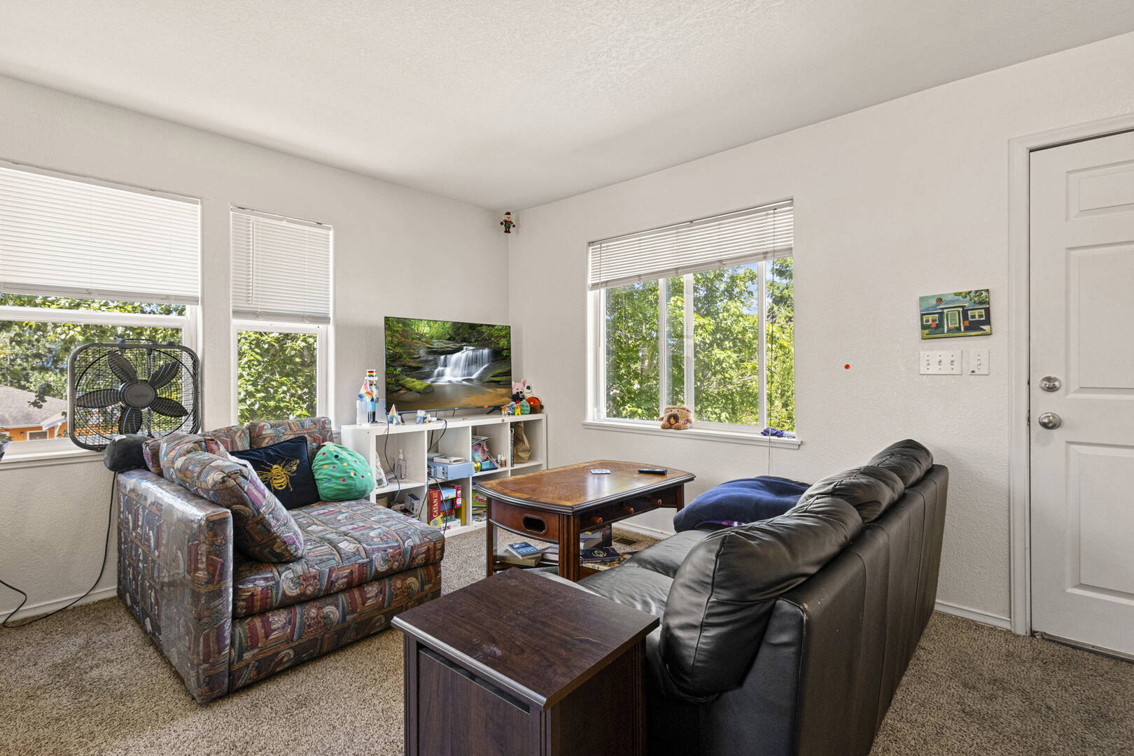 809 & 811 Blueberry Ln Bellingham, WA 98229