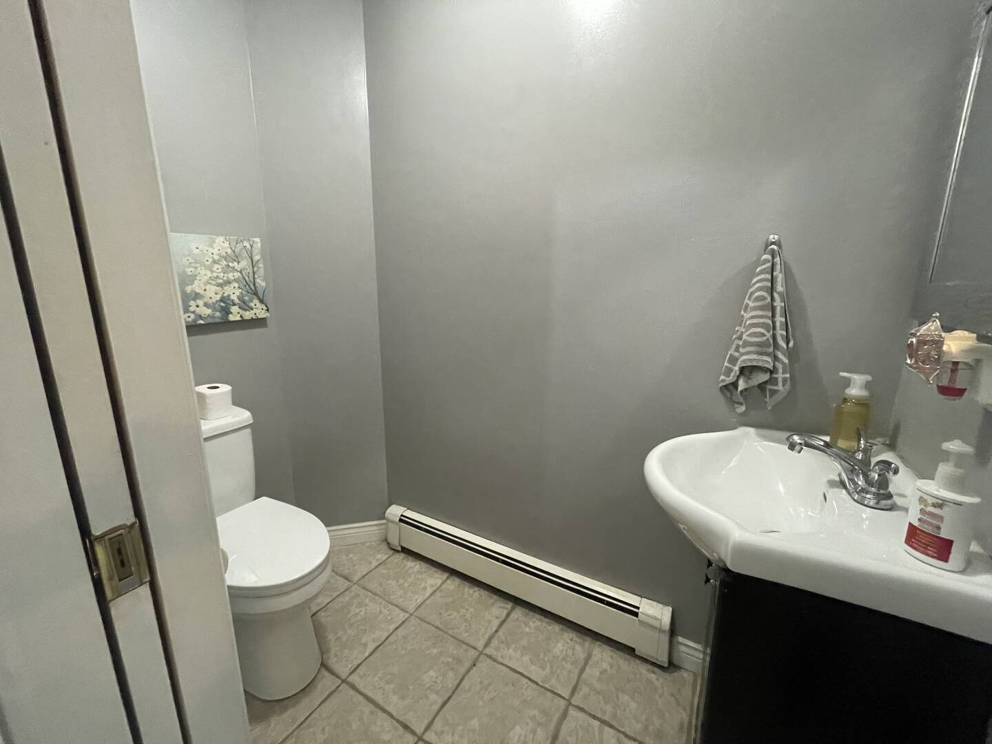 41 Aster Ct Halifax, NS B3S1G5