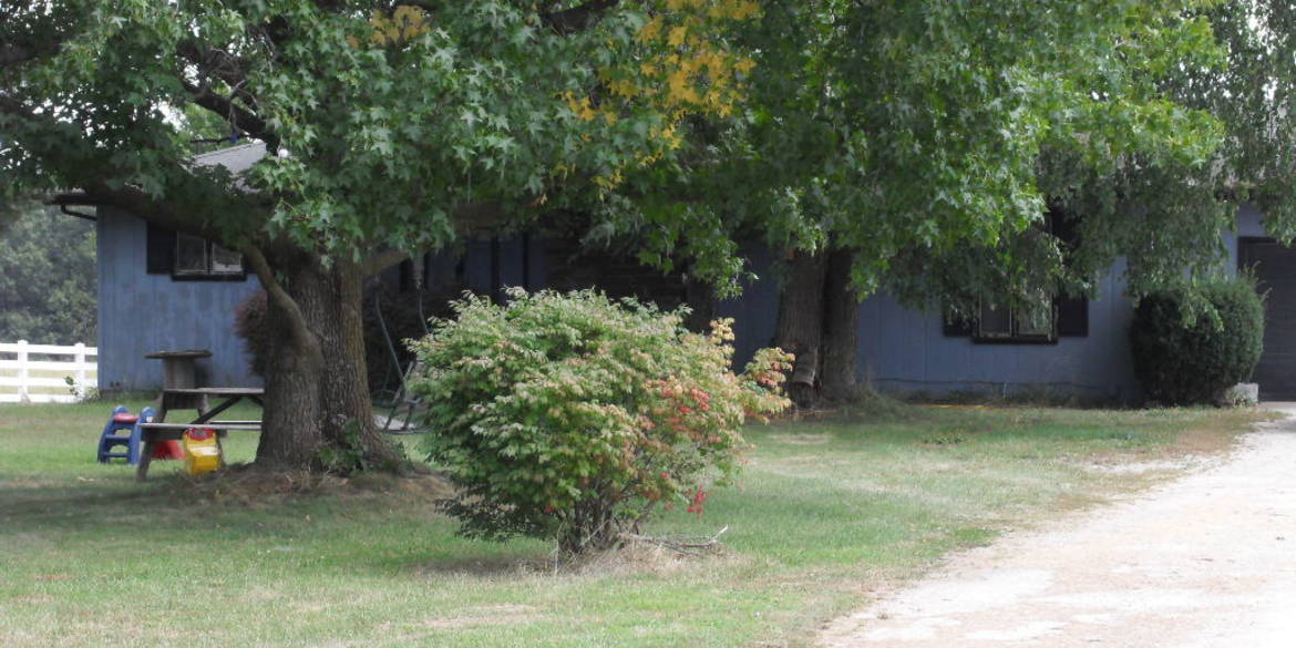 Brivity 4890 S 230th Rd Half Way, MO 65663