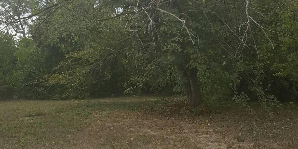 Brivity 1038 Guadalupe St. Seguin, TX 78155