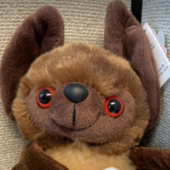 Author Avatar