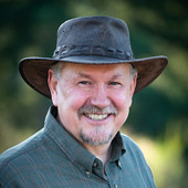Author Avatar